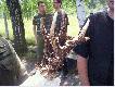 685 gram (o ile dobrze pamitam)