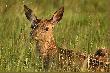 moim okiem
National Nature Reserve Richmondpark + moje rodzinne strony
Dziekuje wszystkim za odwiedziny i zapraszam ponownie.